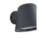 Trio-260360142 - Beni - Anthracite Wall Lamp IP44