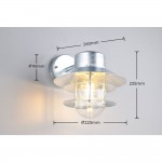 Ruvuma - Silver Wall Lamp with Clear Glass Diffuser IP44