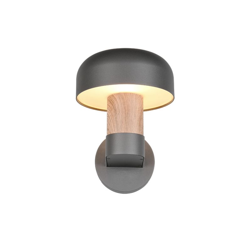 - Fraser - Anthracite & Wood Imitation Wall Lamp IP54 Trio-262560135 - Fraser - Anthracite & Wood Imitation Wall Lamp IP54