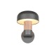 - Fraser - Anthracite & Wood Imitation Wall Lamp IP54 Trio-262560135 - Fraser - Anthracite & Wood Imitation Wall Lamp IP54