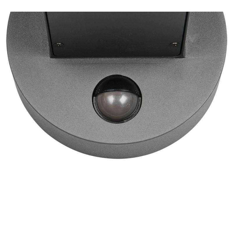 Trio-262569135 - Fraser - Anthracite & Wood Imitation PIR Wall Lamp IP54