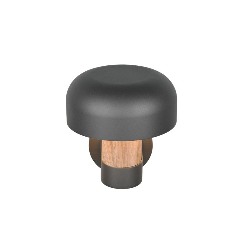 Trio-262569135 - Fraser - Anthracite & Wood Imitation PIR Wall Lamp IP54