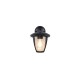 Trio-263260132 - Venta - Matt Black Downlighter Wall Lamp IP44