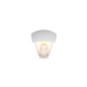 Trio-263260331 - Venta - Matt White Wall Lamp IP44