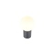 Trio-269860142 - Mures - Anthracite Wall Lamp with White Glass IP44