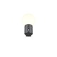 Trio-269869142 - Mures - Anthracite PIR Wall Lamp with White Glass IP44