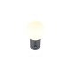 Trio-269869142 - Mures - Anthracite PIR Wall Lamp with White Glass IP44