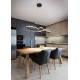 Trio-345619132 - Fly - Black LED Pendant 3000K