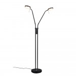 Monza - Matt Black 2 Light CCT Floor Lamp