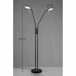 Monza - Matt Black 2 Light CCT Floor Lamp