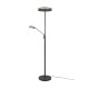 Trio-426510242 - Franklin - Anthracite Mother & Child CCT Floor Lamp