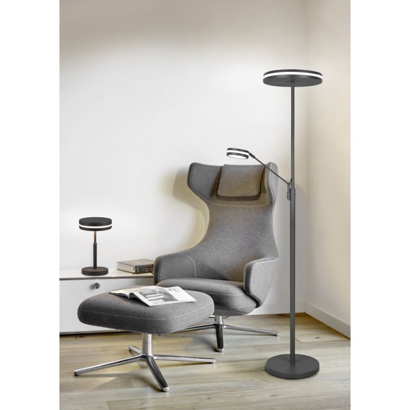 Trio-426510242 - Franklin - Anthracite Mother & Child CCT Floor Lamp