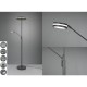 Trio-426510242 - Franklin - Anthracite Mother & Child CCT Floor Lamp