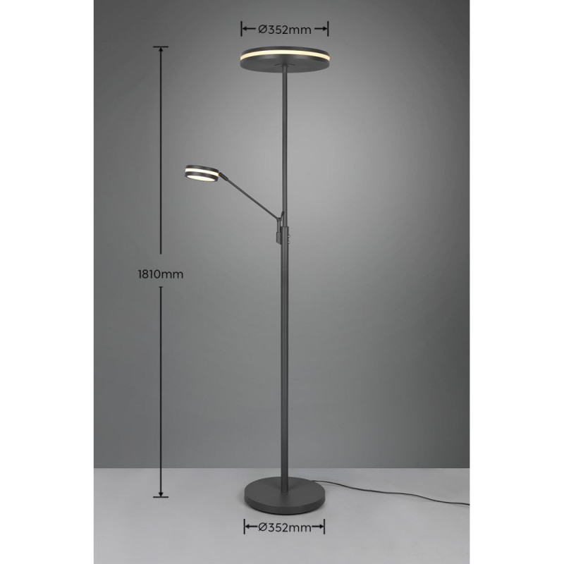 Trio-426510242 - Franklin - Anthracite Mother & Child CCT Floor Lamp