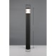 Trio-438560142 - Tagus - Anthracite CCT Bollard with Clear Diffuser IP65