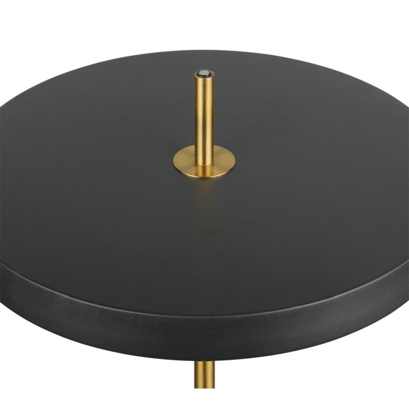 Trio-440210180 - Keaton - Black & Gold CCT Floor Lamp