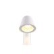Trio-460360131 - Beni - Matt White Bollard IP44