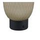 Trio-564210115 - Facette - Rechargeable Matt Black LED Table Lamp with Decorative Green Glass