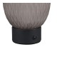 - Facette - Rechargeable Matt Black LED Table Lamp with Decorative Smoked Glass Trio-564210154 - Facette - Rechargeable Matt Black LED Table Lamp with Decorative Smoked Glass