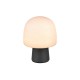 - Steen - Black Table Lamp with White Glass Trio-568200132 - Steen - Black Table Lamp with White Glass