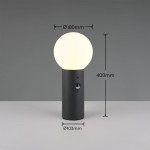 Mures - Anthracite PIR Post with White Glass IP44