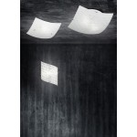 Signa - White 2 Light Flush with White Glass with Clear Letters Signa - White 2 Light Flush with White Glass with Clear Letters