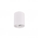 Cookie - Adjustable Surface Mounted White Cylindrical Spotlight Cookie - Adjustable Surface Mounted White Cylindrical Spotlight