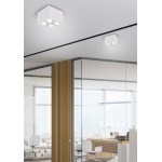 Biscuit - Adjustable Surface Mounted White Twin Spotlight Biscuit - Adjustable Surface Mounted White Twin Spotlight