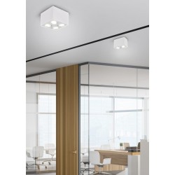Biscuit - Adjustable Surface Mounted White Twin Spotlight Biscuit - Adjustable Surface Mounted White Twin Spotlight