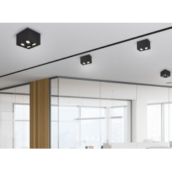 Biscuit - Adjustable Surface Mounted Black Twin Spotlight Biscuit - Adjustable Surface Mounted Black Twin Spotlight