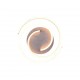 - Caya - Black & Brushed Aluminium CCT Ceiling Lamp Trio-641910205 - Caya - Black & Brushed Aluminium CCT Ceiling Lamp