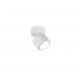 - Taurus - Matt White Recessed or Surface-mounted LED Spotlight Trio-652910131 - Taurus - Matt White Recessed or Surface-mounted LED Spotlight
