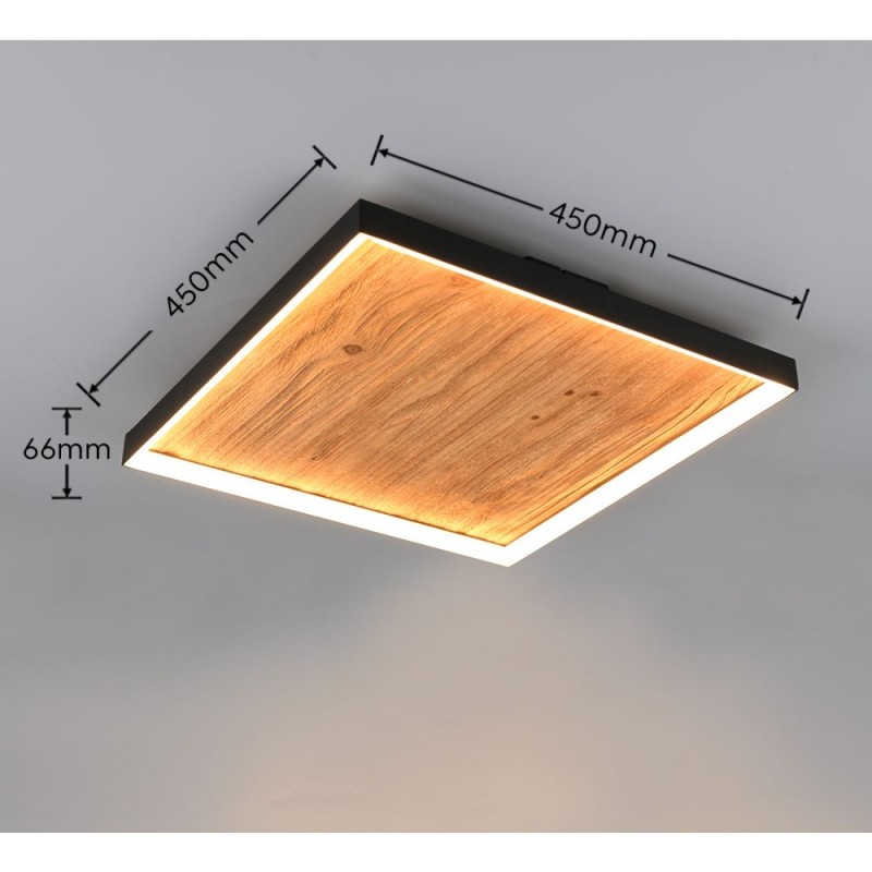 Trio-655510130 - Kalea - Black LED Flush with Natural Wood