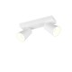 Trio-817100231 - Sharp - Matt White 2 Spotlights with Gold Inner Ring