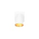 - Sharp - Matt White Spotlight with Gold Inner Ring Trio-817170131 - Sharp - Matt White Spotlight with Gold Inner Ring