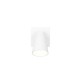 - Sharp - Matt White Spotlight with Gold Inner Ring Trio-817170131 - Sharp - Matt White Spotlight with Gold Inner Ring