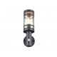- Paloma - Anthracite PIR Wall Lamp with Clear Diffuser Trio-R21719142 - Paloma - Anthracite PIR Wall Lamp with Clear Diffuser