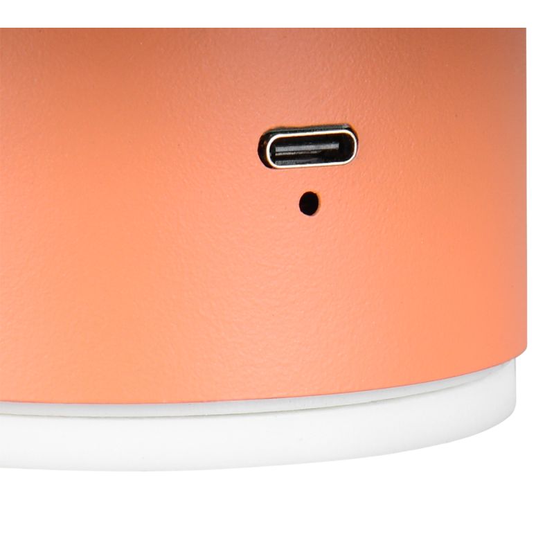 Trio-R24431140 - Davey - Rechargeable Apricot LED Wall Lamp