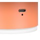 Trio-R24431140 - Davey - Rechargeable Apricot LED Wall Lamp
