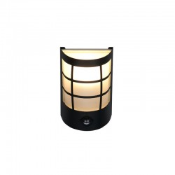 Sintra - Matt Black PIR Wall Lamp with White Glass Sintra - Matt Black PIR Wall Lamp with White Glass