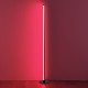 Trio-R45711102 - Tendo - Black RGB Floor Lamp with Sound Control