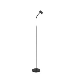 Taryn - Matt Black Floor Lamp
