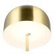 Trio-R49151108 - Jeff - Rechargeable Matt Brass LED Floor Lamp with USB