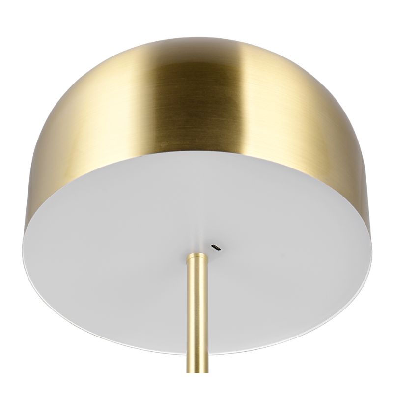 Trio-R49151108 - Jeff - Rechargeable Matt Brass LED Floor Lamp with USB