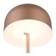 Trio-R49151165 - Jeff - Rechargeable Coffee LED Floor Lamp with USB