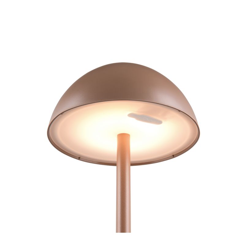 - Ricardo - Portable Indoor/Outdoor Rechargeable Coffee LED Table Lamp Trio-R54106165 - Ricardo - Portable Indoor/Outdoor Rechargeable Coffee LED Table Lamp