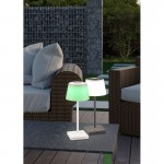 Sanchez - Portable Indoor/Outdoor Rechargeable Anthracite RGBW Table Lamp