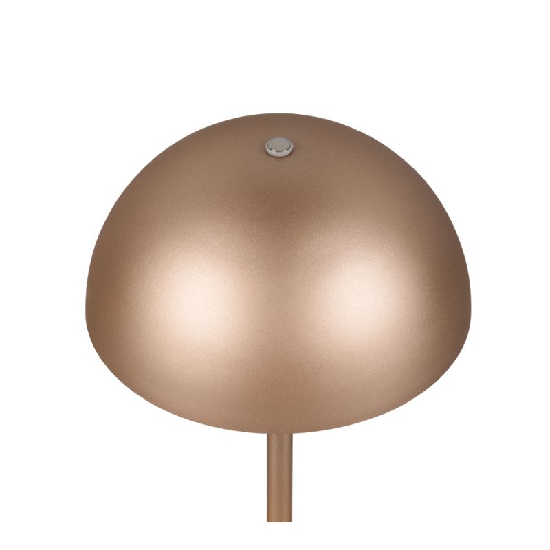 - Munoz - Rechargeable Coffee LED Table Lamp Trio-R54891165 - Munoz - Rechargeable Coffee LED Table Lamp