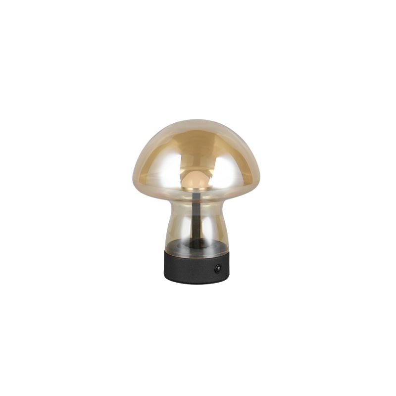 Trio-R54981113 - Dooley - Rechargeable Amber LED Table Lamp