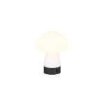 Dooley - Rechargeable White LED Table Lamp Dooley - Rechargeable White LED Table Lamp